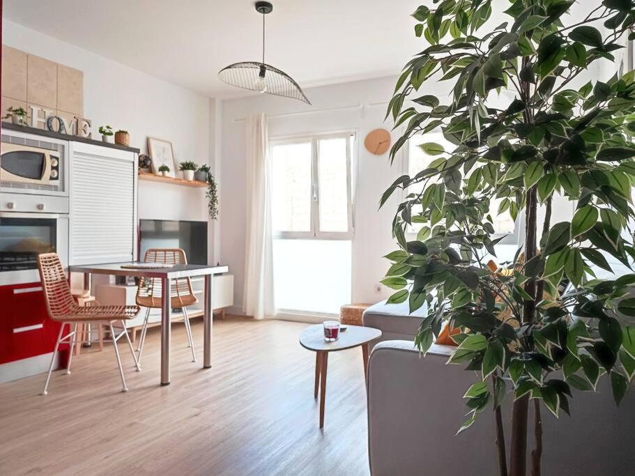 Vacational Dreams Apartment ซานตาครูซ เด เตเนริเฟ ภายนอก รูปภาพ